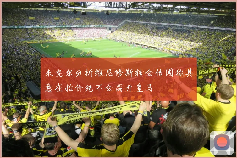 米克尔分析维尼修斯转会传闻称其意在抬价绝不会离开皇马