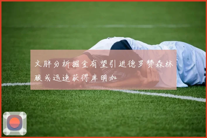 文胖分析掘金有望引进德罗赞森林狼或迅速获得库明加