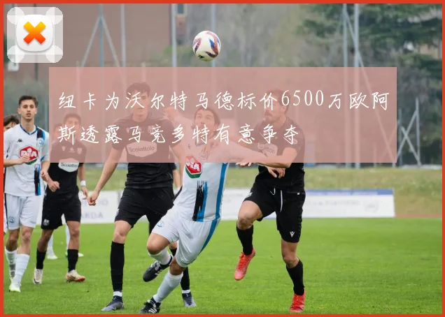纽卡为沃尔特马德标价6500万欧阿斯透露马竞多特有意争夺